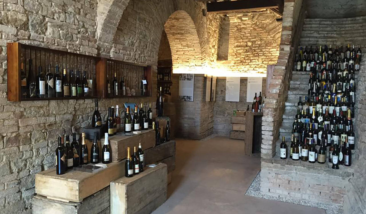 Il Museo dell'Etichetta di Cupramontana (Foto: Matteo Belluti)